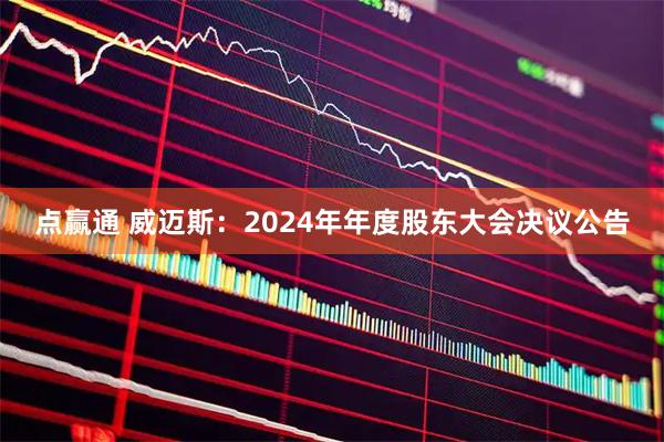 点赢通 威迈斯：2024年年度股东大会决议公告