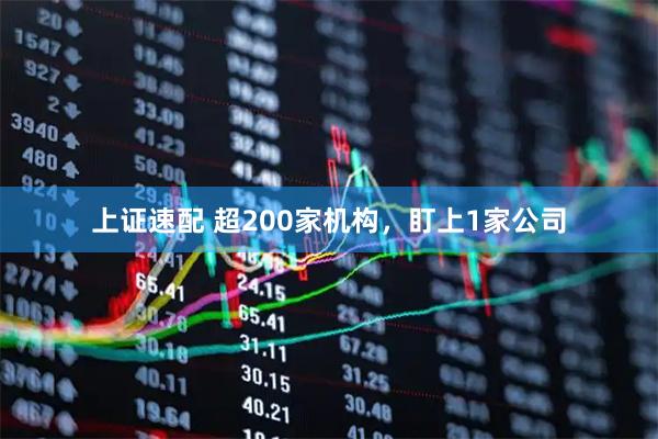 上证速配 超200家机构，盯上1家公司